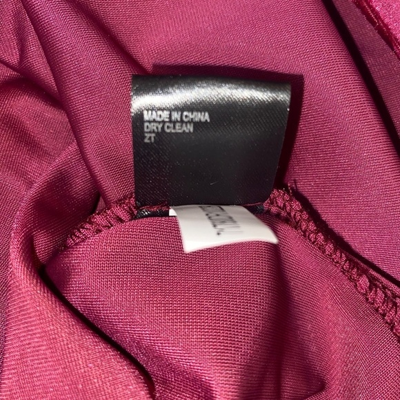 NWT Gianni Bini Pam Velvet Party Dress Merlot Long Sleeve Mini, Small or XL NEW - Picture 6 of 7